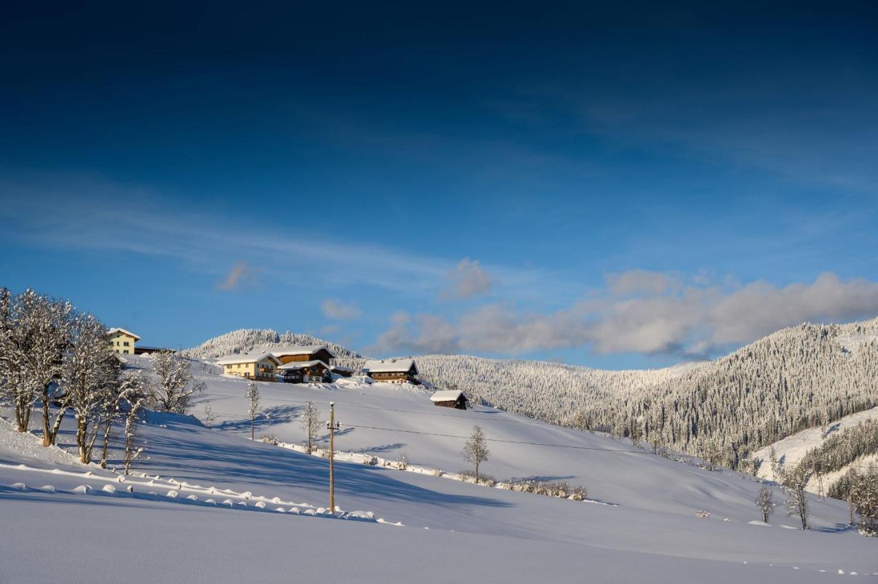 Parchenbauernhof Horner Hotel Flachau Ngoại thất bức ảnh