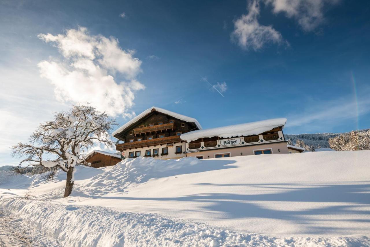 Parchenbauernhof Horner Hotel Flachau Ngoại thất bức ảnh