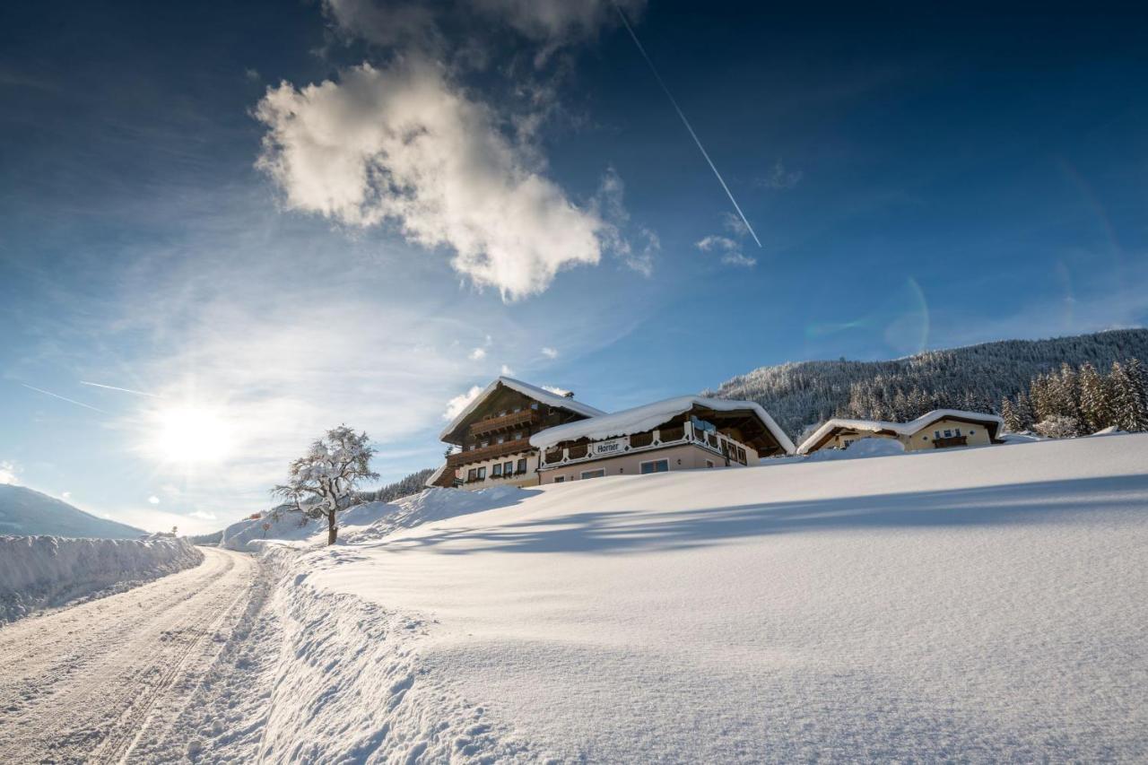 Parchenbauernhof Horner Hotel Flachau Ngoại thất bức ảnh